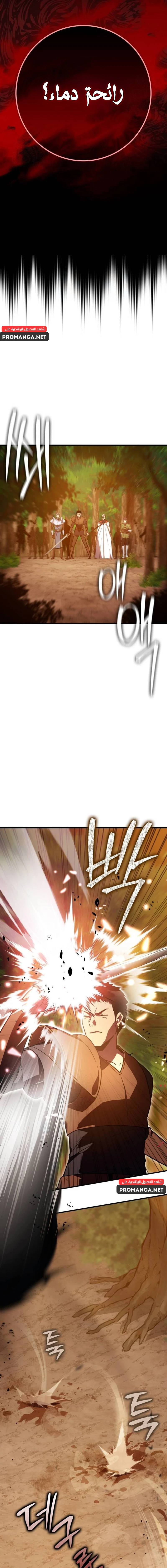 Chapter Image 17