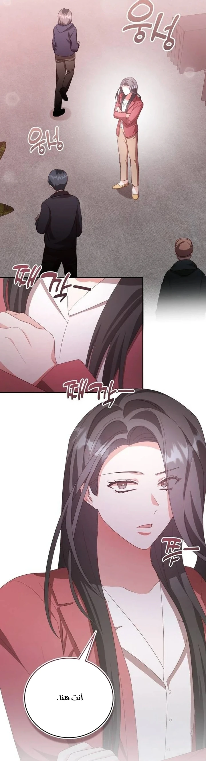 Chapter Image 100