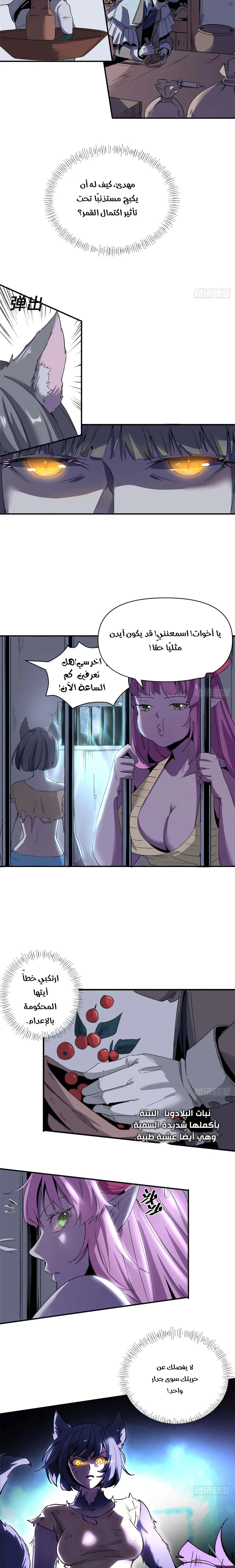 Chapter Image 11