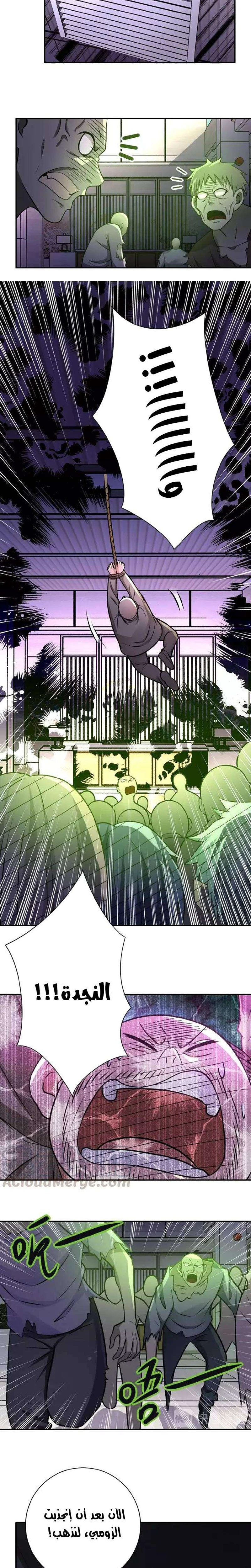 Chapter Image 4