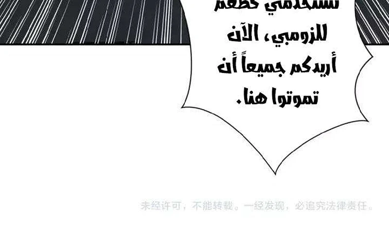 Chapter Image 13