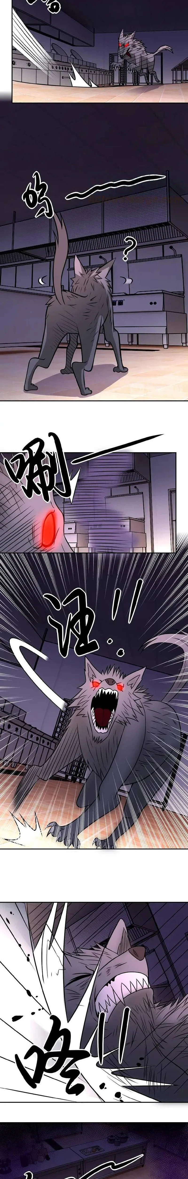 Chapter Image 2