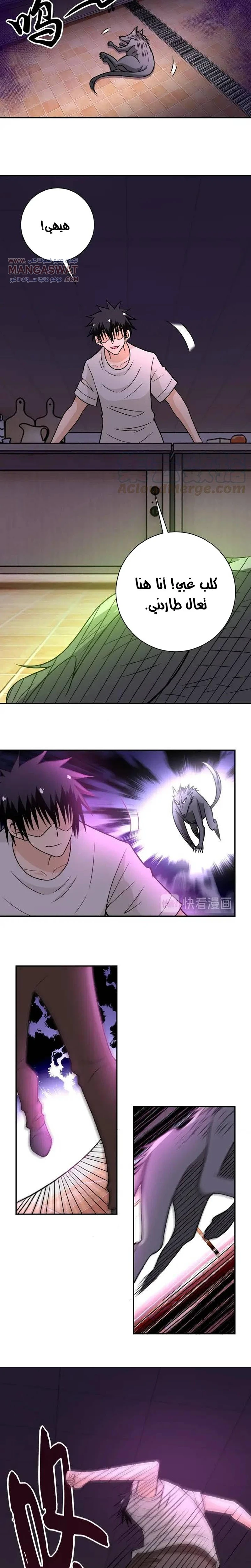 Chapter Image 3