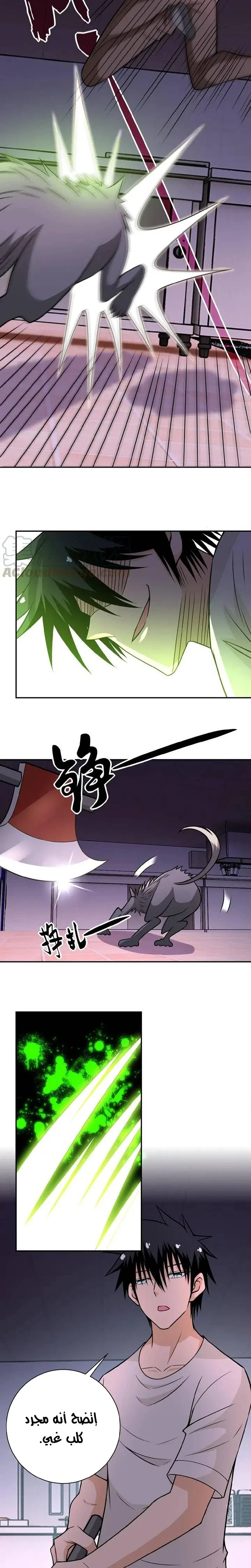 Chapter Image 4