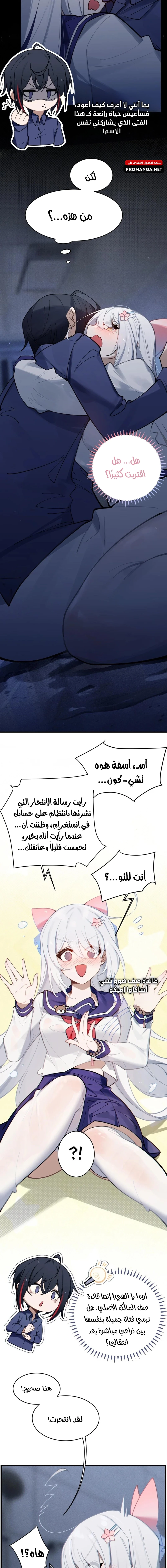 Chapter Image 4
