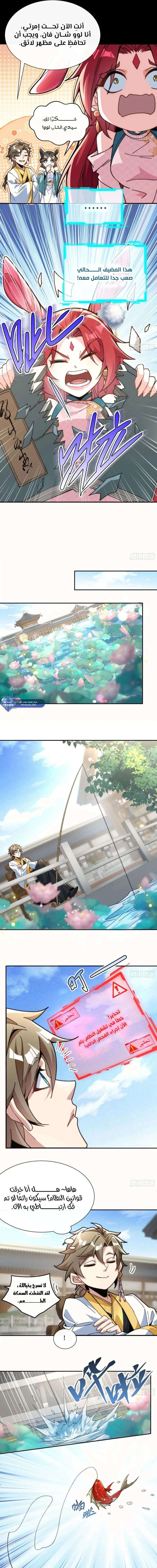 Chapter Image 5