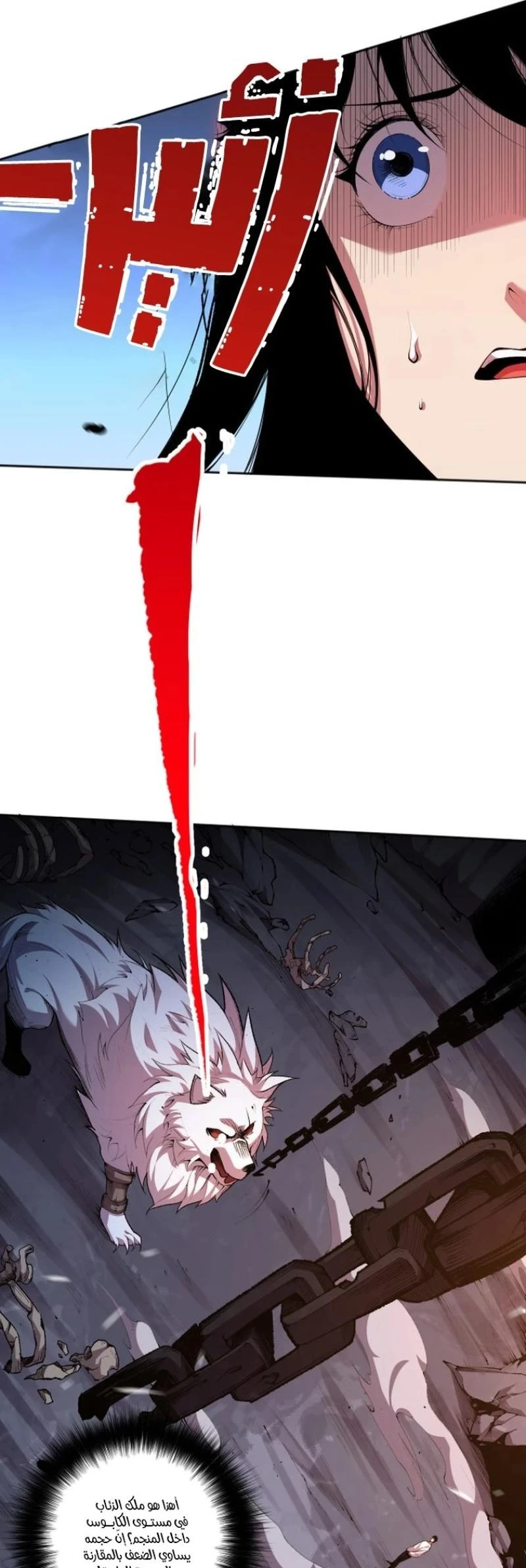 Chapter Image 16