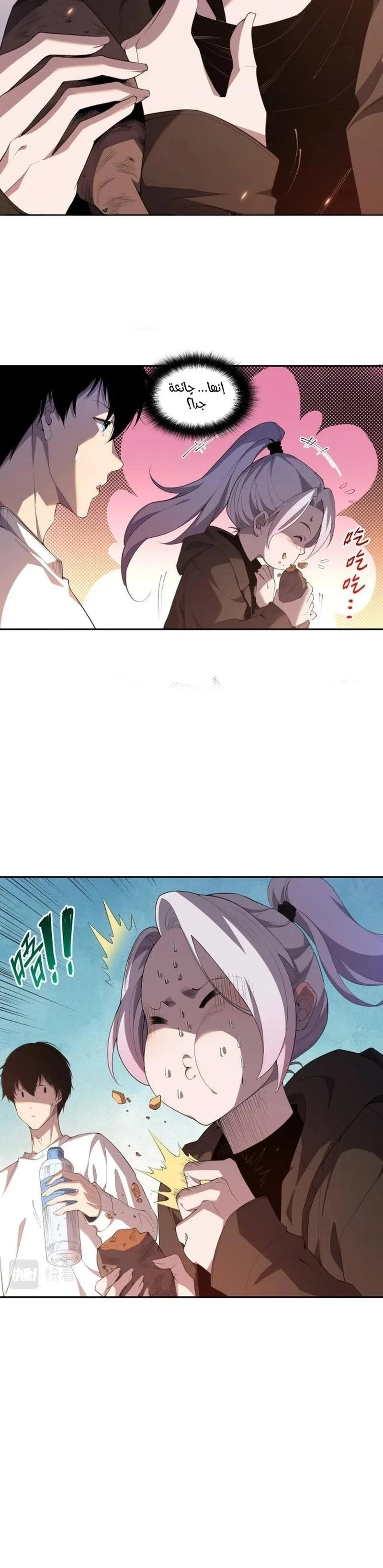 Chapter Image 11