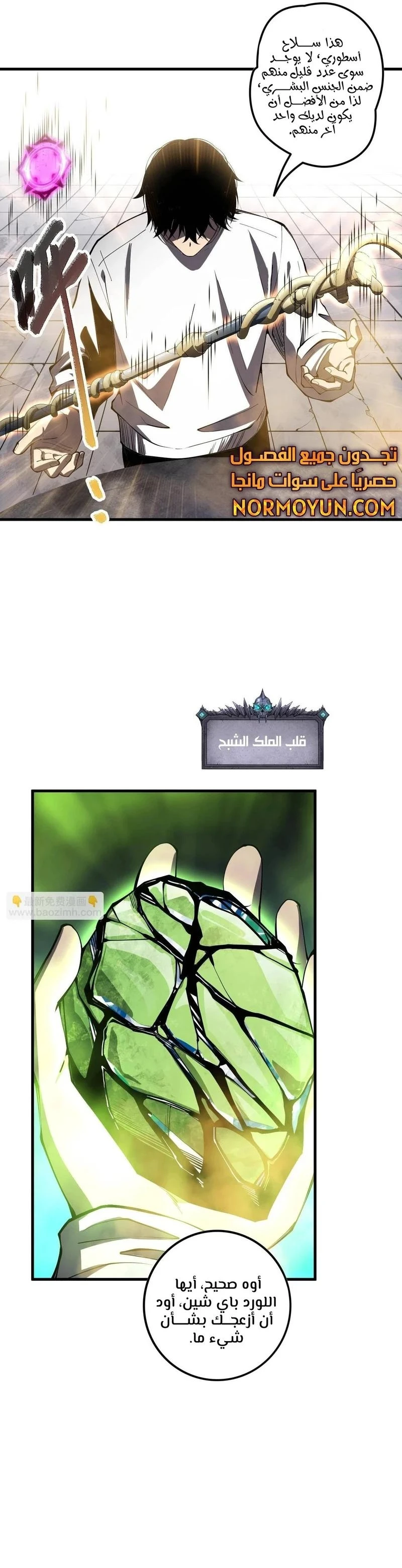 Chapter Image 3