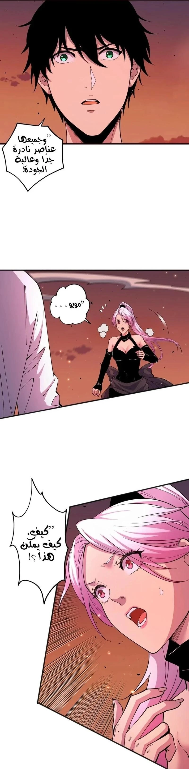 Chapter Image 4