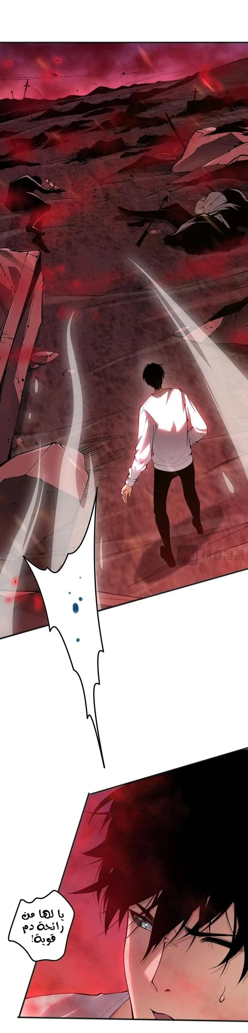 Chapter Image 7