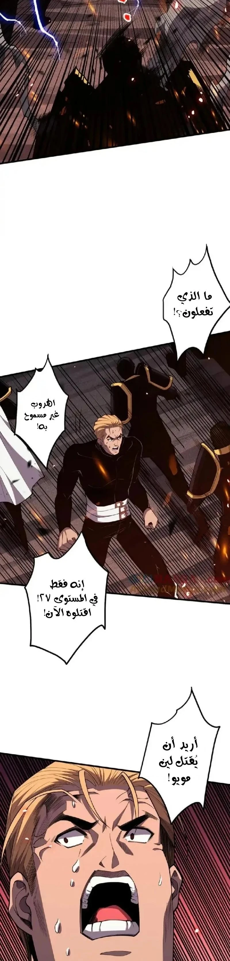 Chapter Image 5