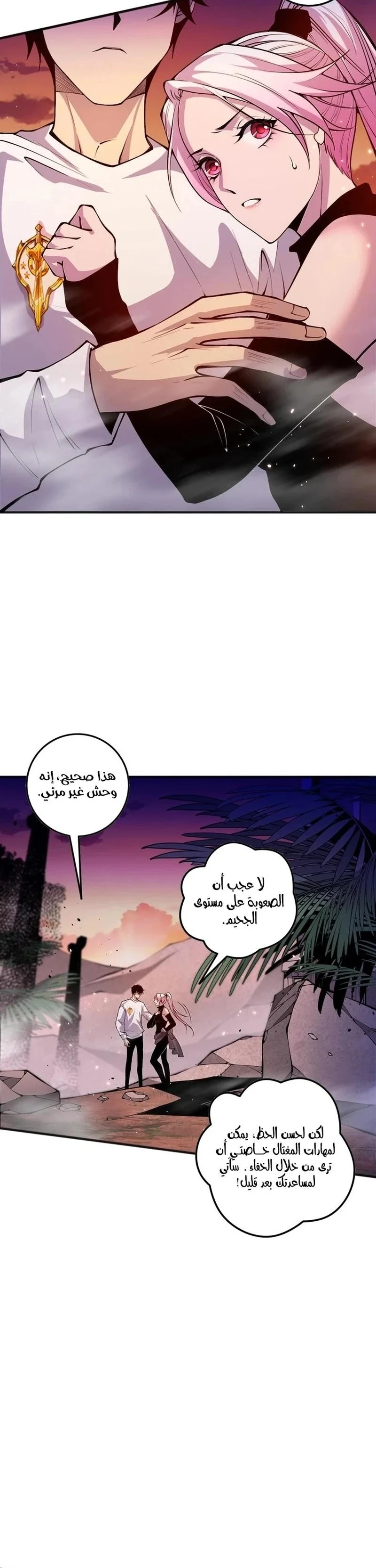 Chapter Image 14