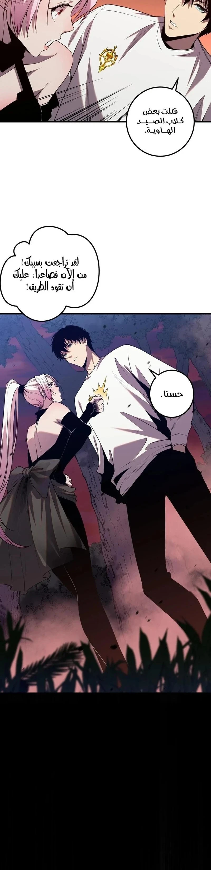 Chapter Image 17