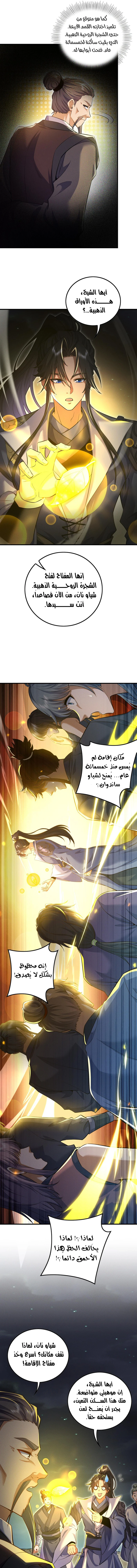 Chapter Image 7