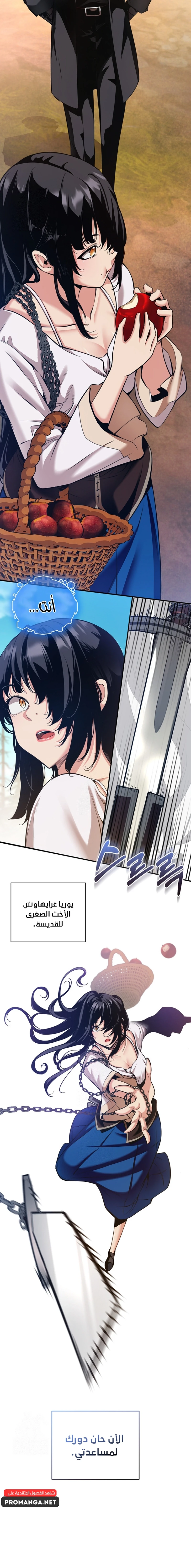 Chapter Image 11