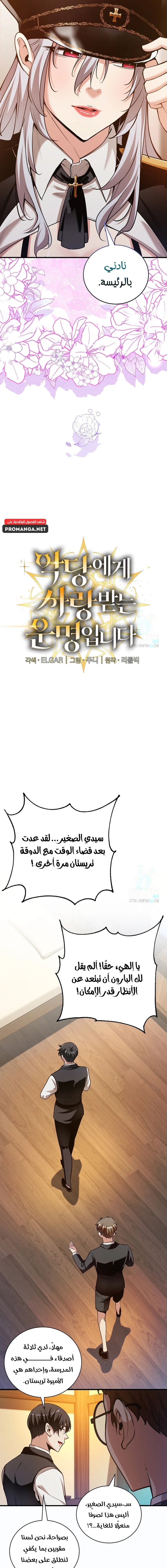 Chapter Image 4