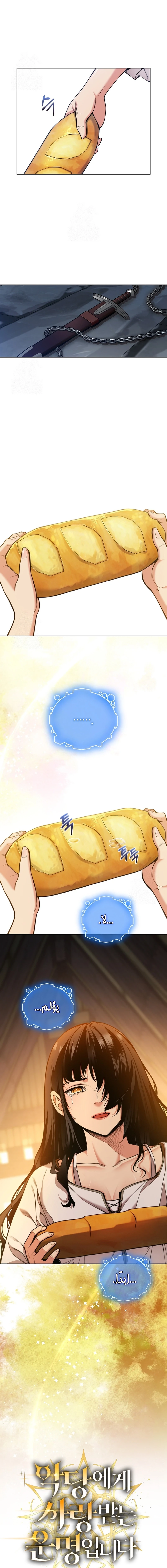 Chapter Image 12