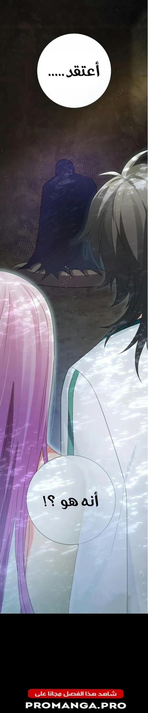 Chapter Image 13