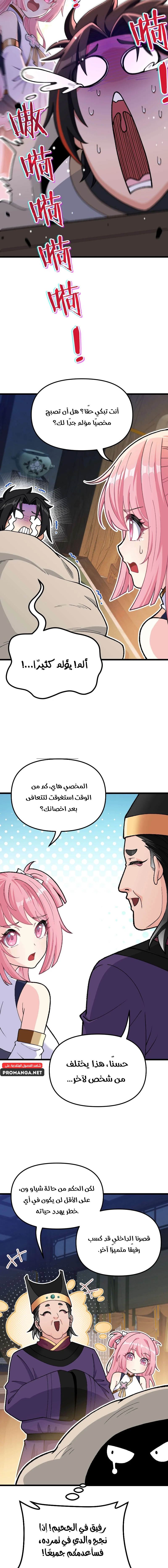 Chapter Image 5