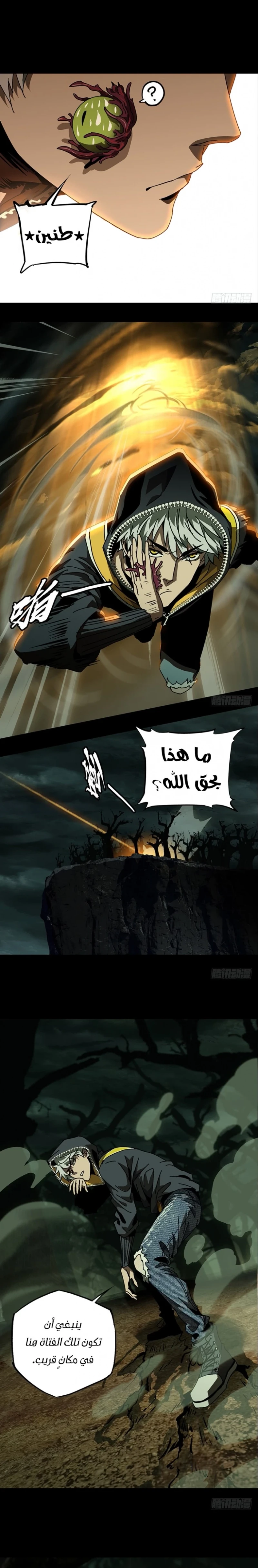 Chapter Image 4