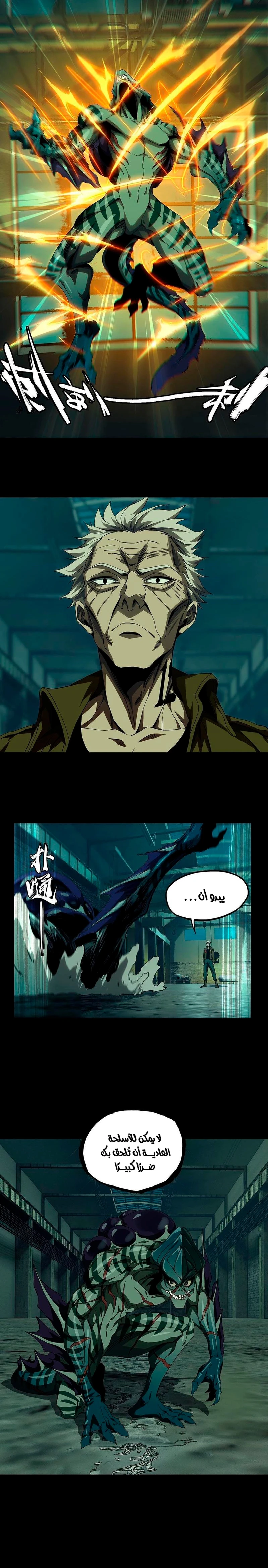 Chapter Image 5