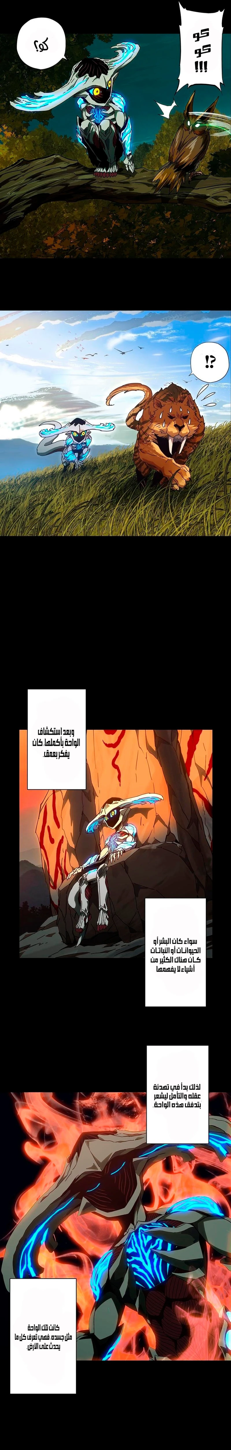Chapter Image 8