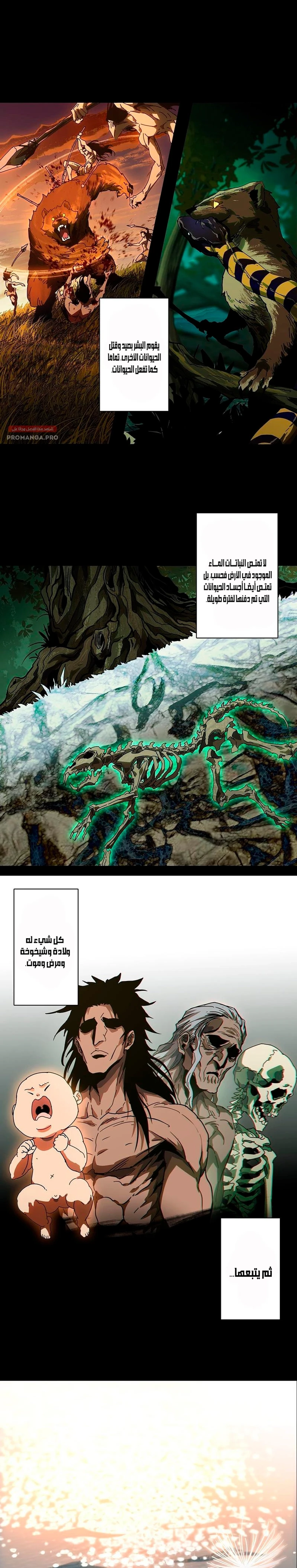 Chapter Image 9