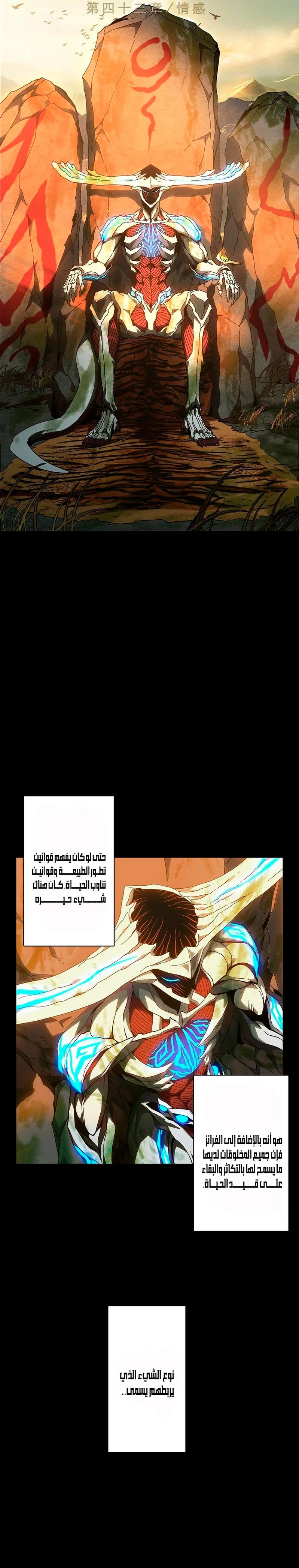 Chapter Image 11