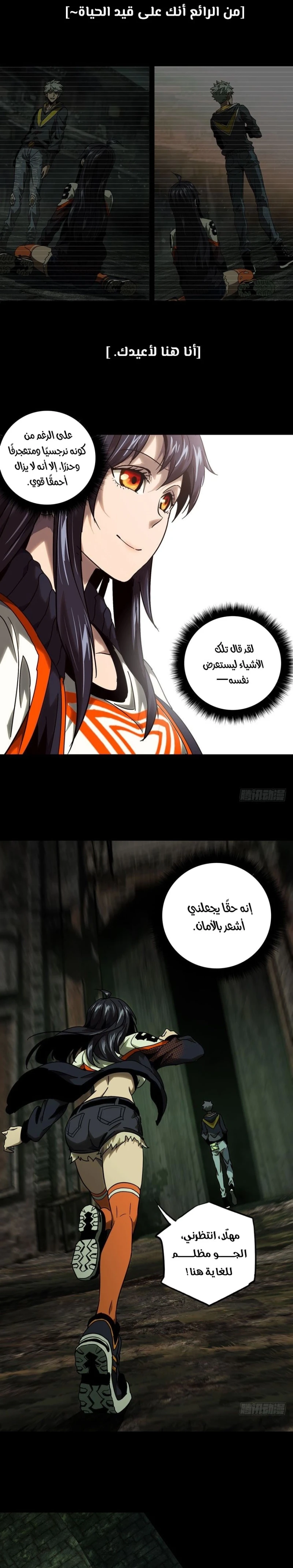 Chapter Image 12