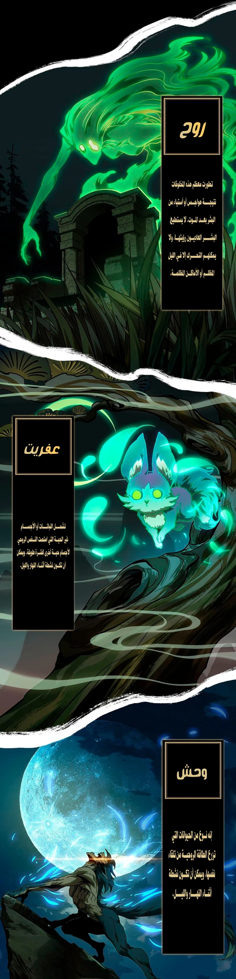Chapter Image 3