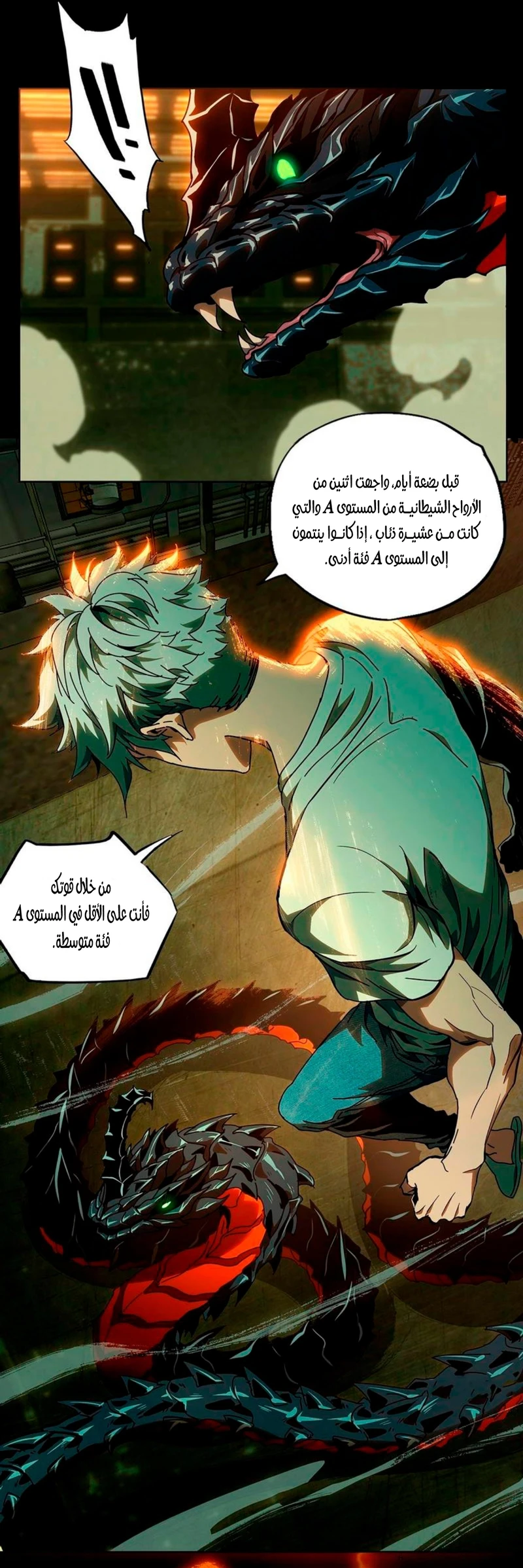 Chapter Image 5