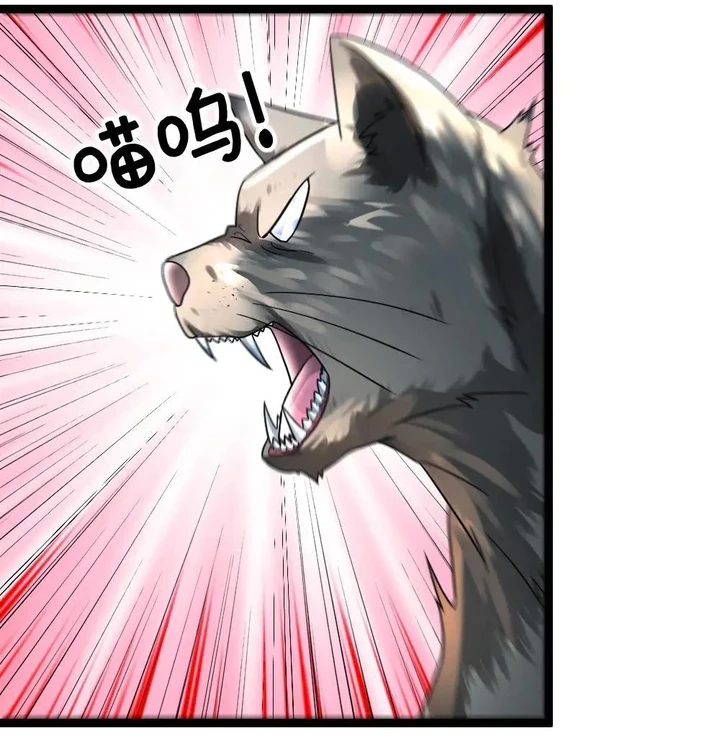 Chapter Image 39