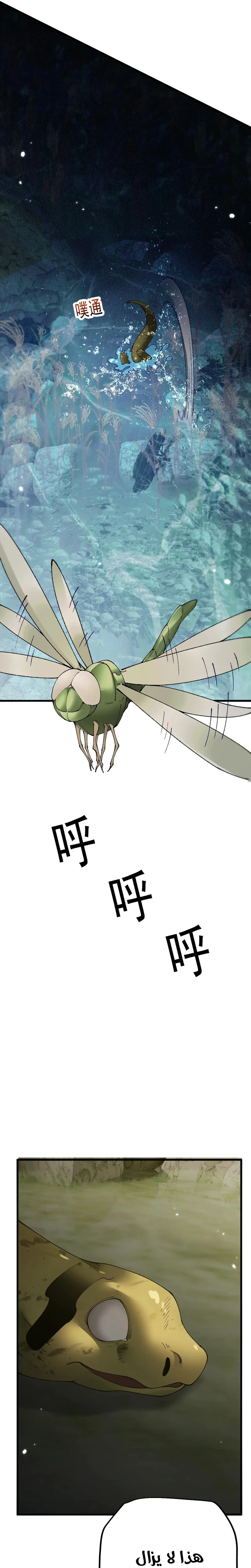 Chapter Image 21