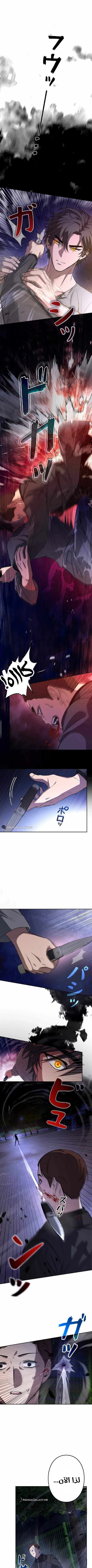 Chapter Image 25