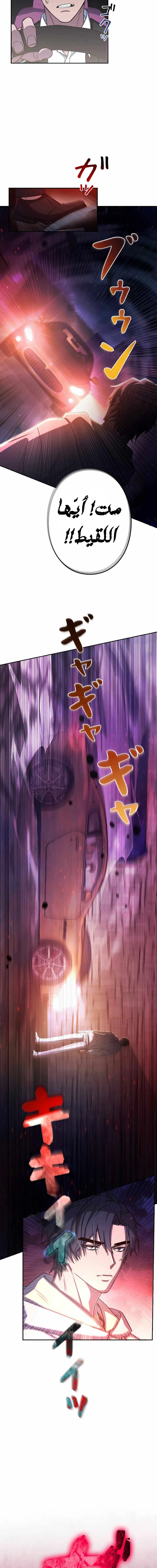 Chapter Image 13