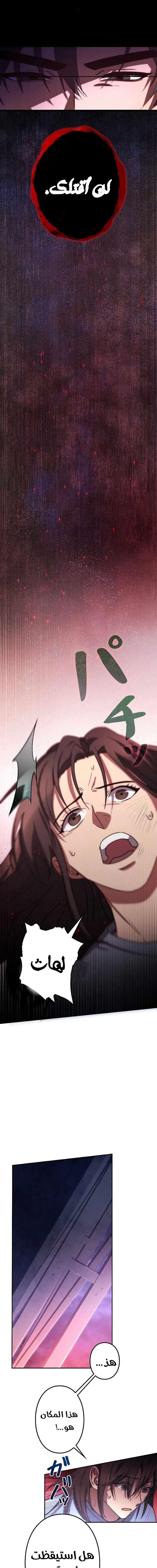 Chapter Image 17
