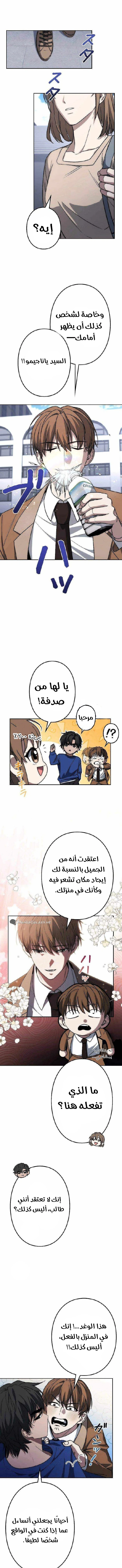 Chapter Image 13