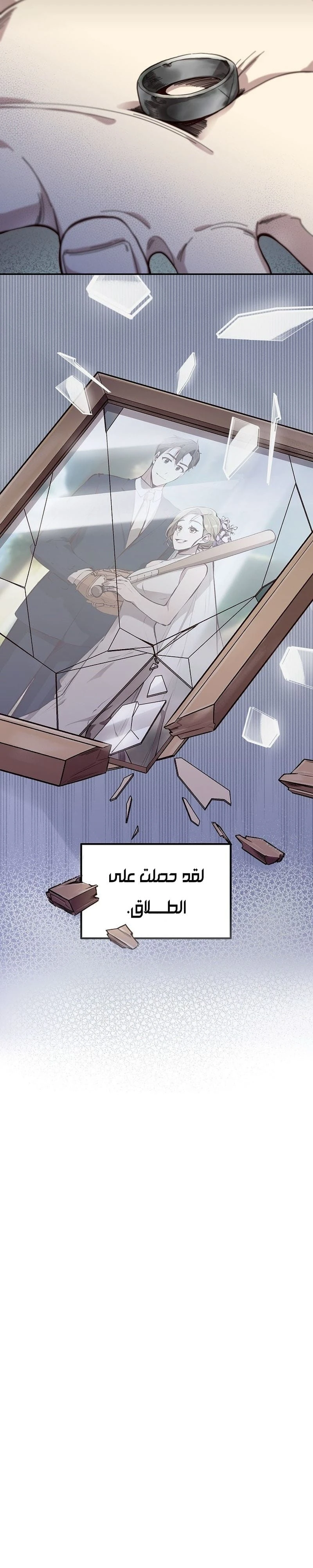 Chapter Image 9