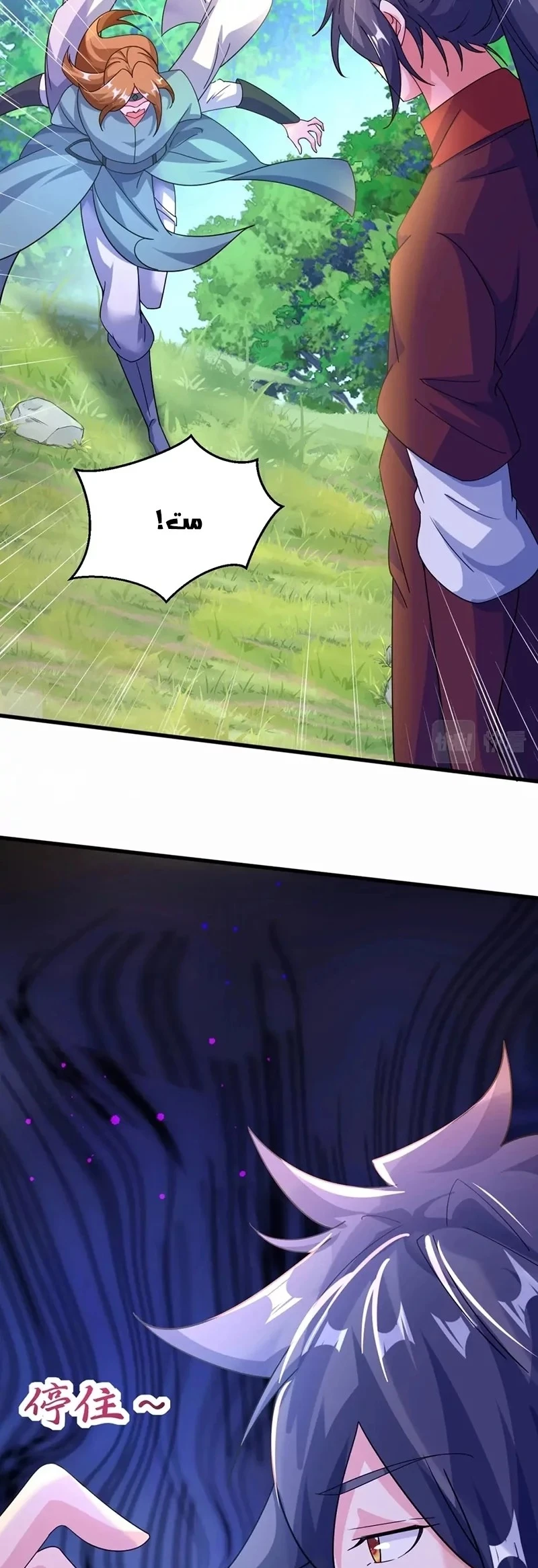 Chapter Image 31