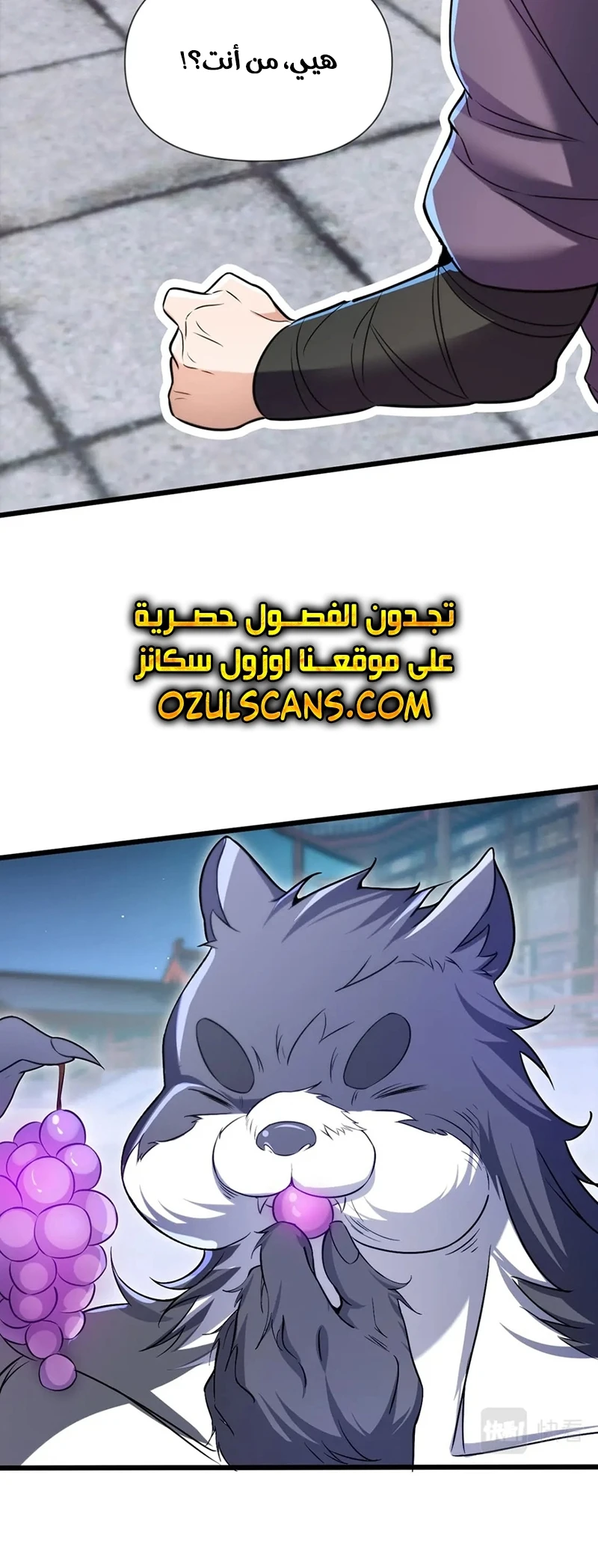 Chapter Image 3
