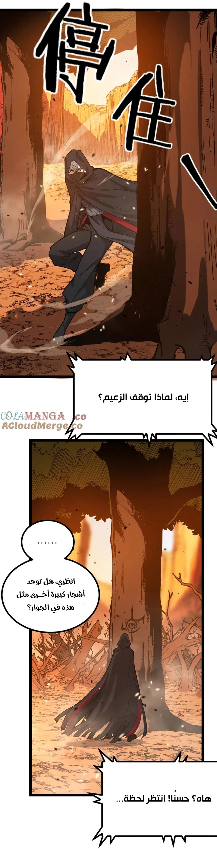 Chapter Image 8