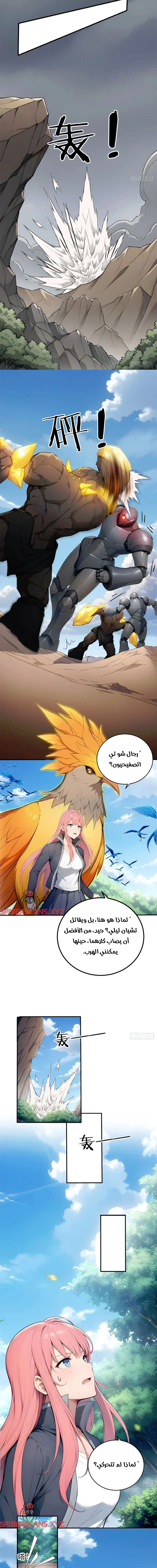 Chapter Image 5