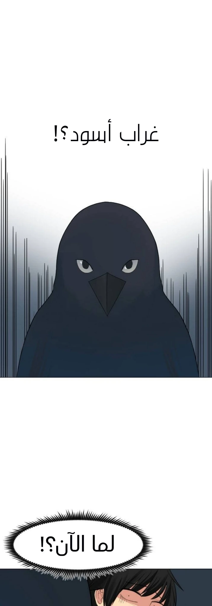 Chapter Image 28