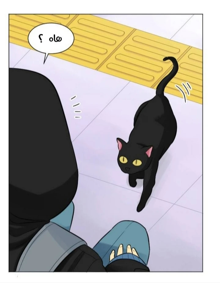 Chapter Image 5