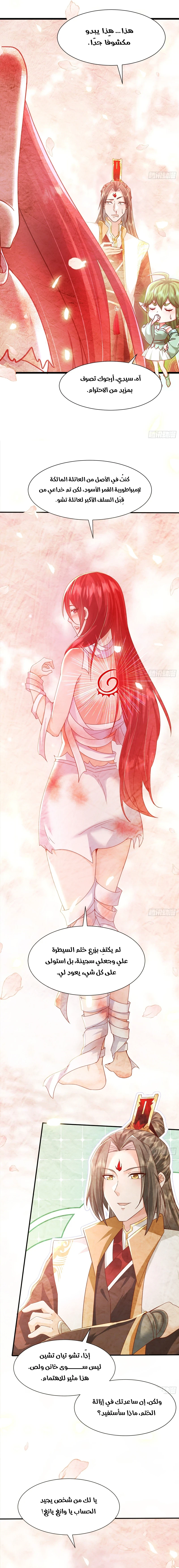 Chapter Image 4