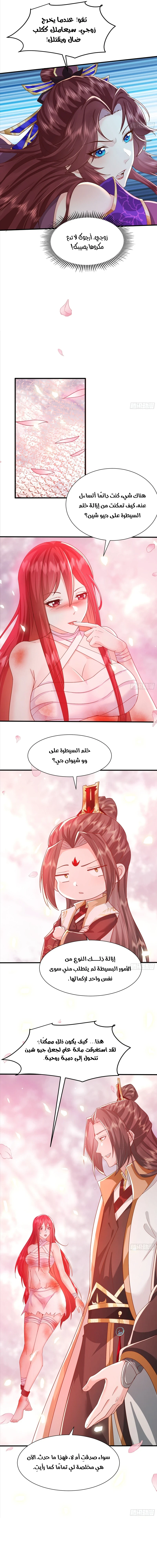 Chapter Image 3