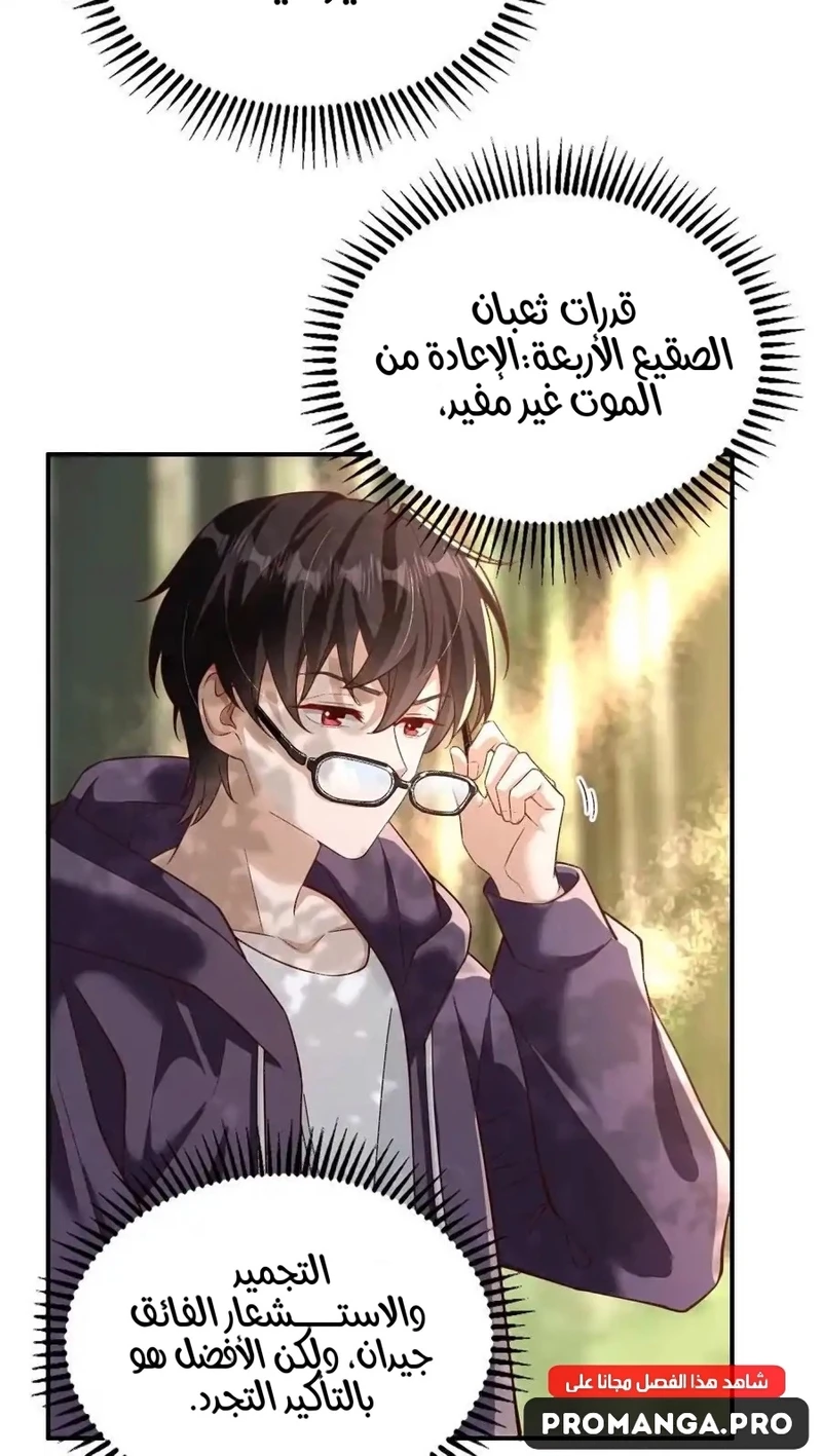 Chapter Image 2