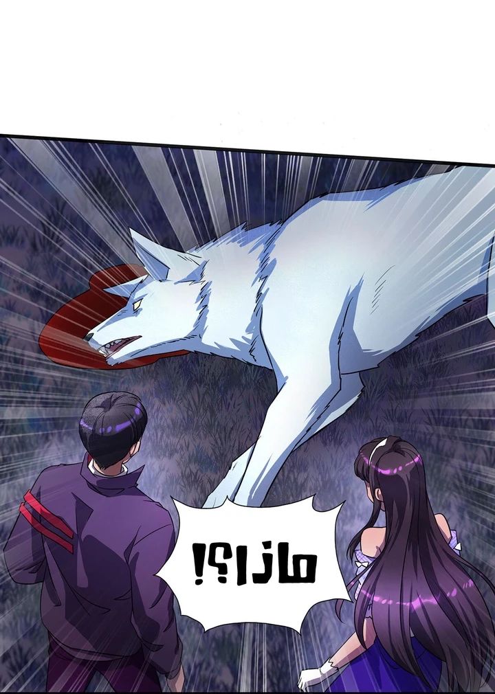 Chapter Image 17