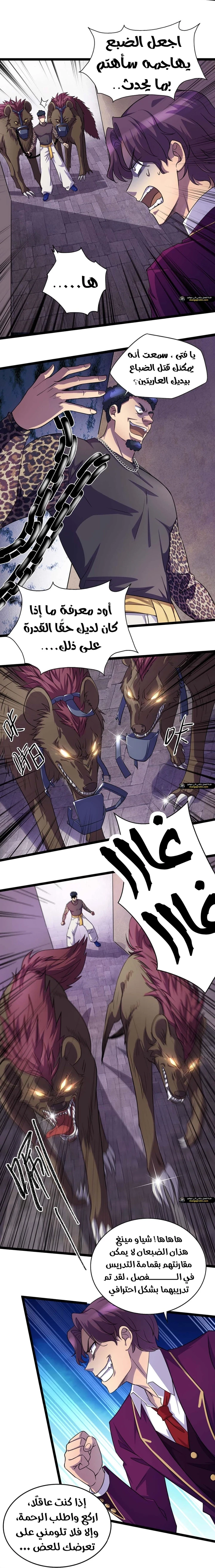 Chapter Image 12